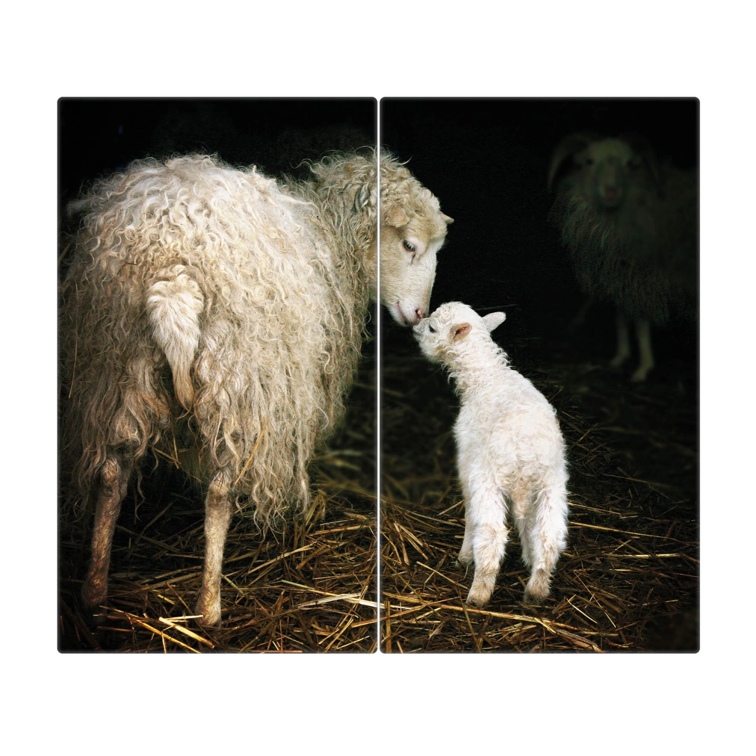Banjado Herdabdeckplatte Glas 2 Teilig Je 30x52CM Schneidebrett Herdabdeckung Mit Motiv Schaf Und Lamm