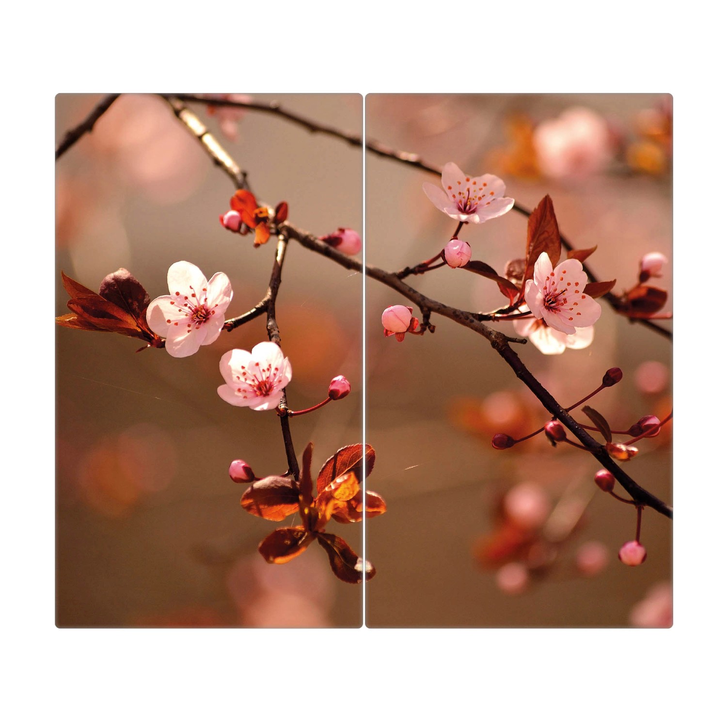 Banjado Herdabdeckplatte Glas 2 Teilig Je 30x52CM Schneidebrett Herdabdeckung Mit Motiv Blühender Kirschzweig