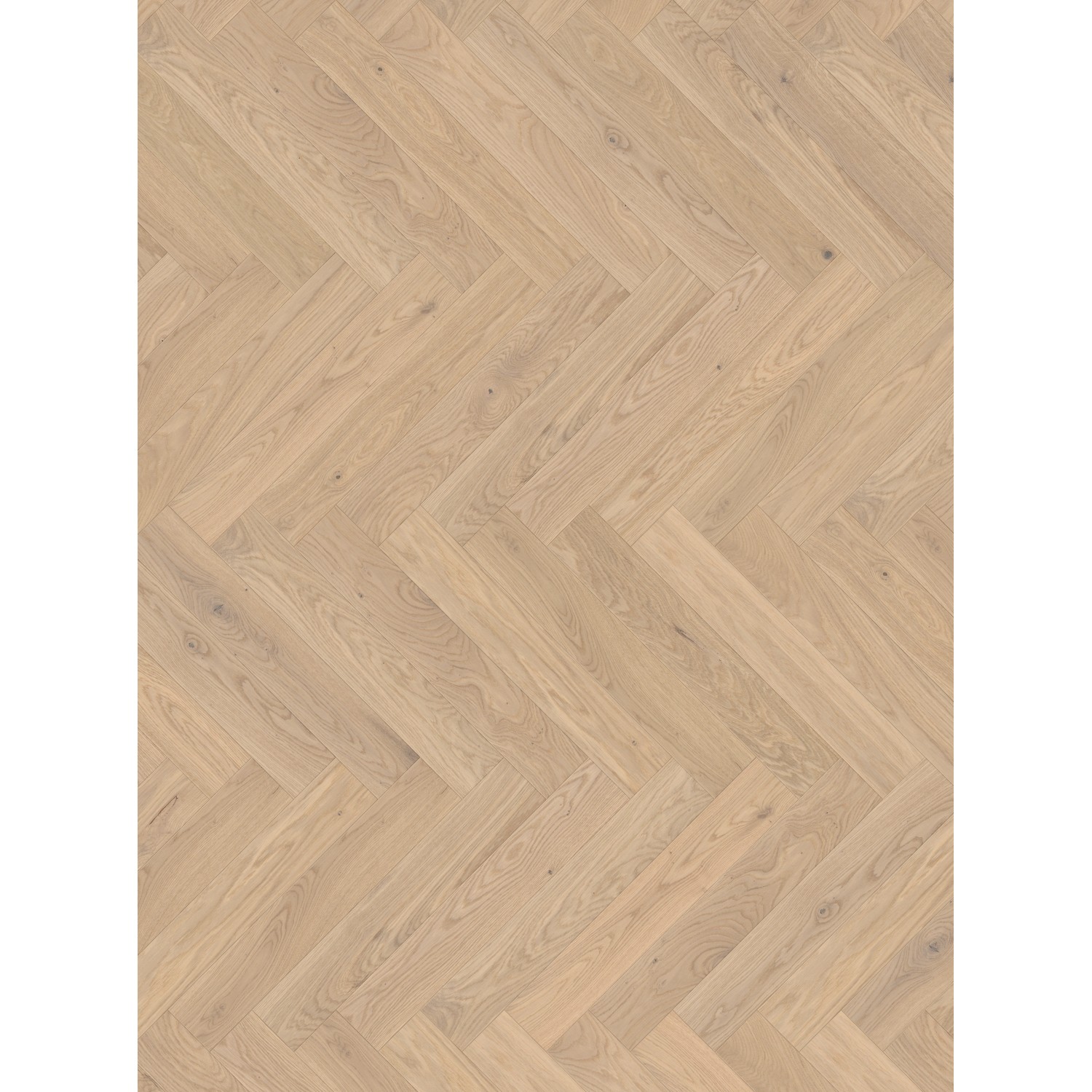 Parador Parkett Trendtime 3 Living Plus Eiche Bardolino Weiß Matt Lackiert