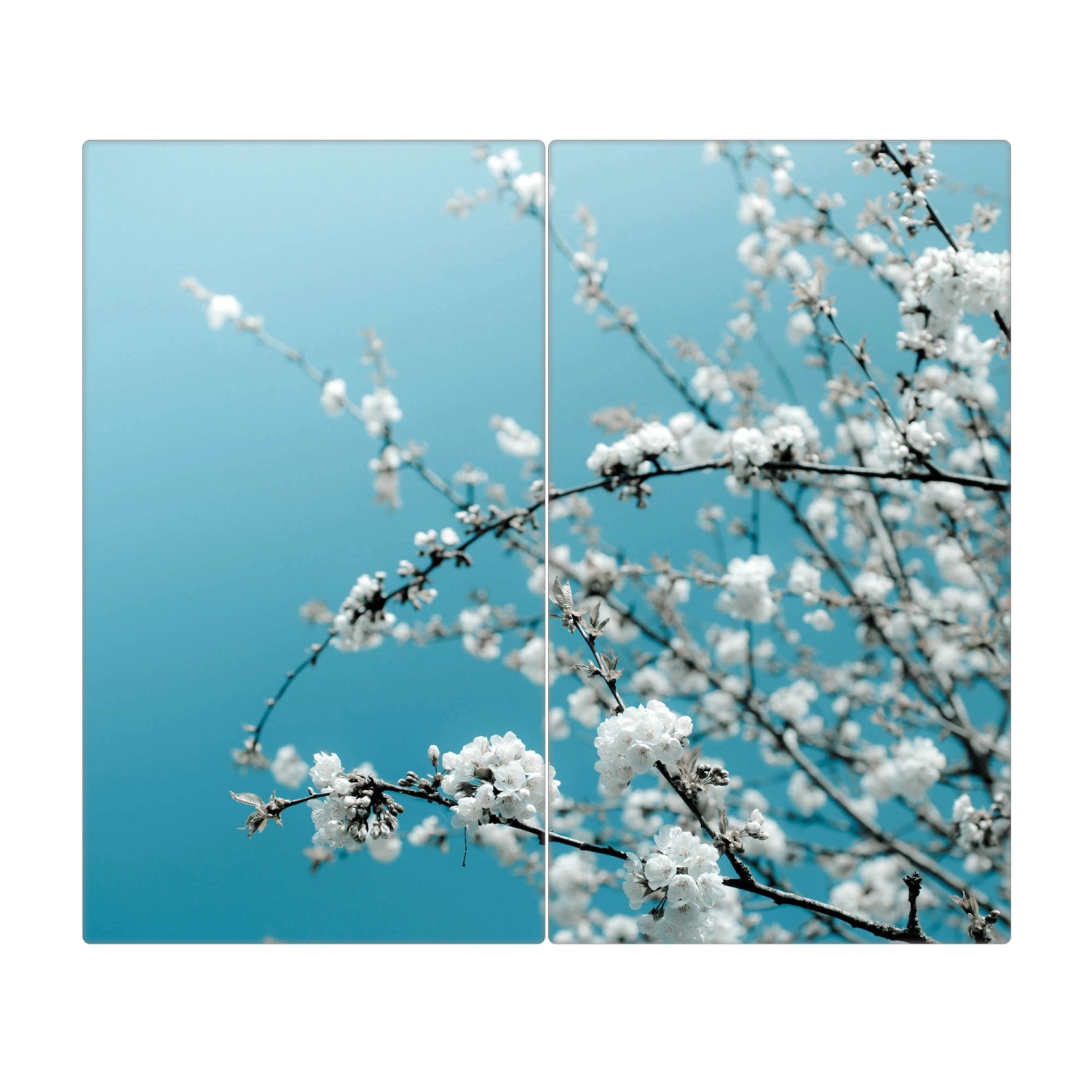 Banjado Herdabdeckplatte Glas 2 Teilig Je 30x52CM Schneidebrett Herdabdeckung Mit Motiv Weiße Kirschblüten