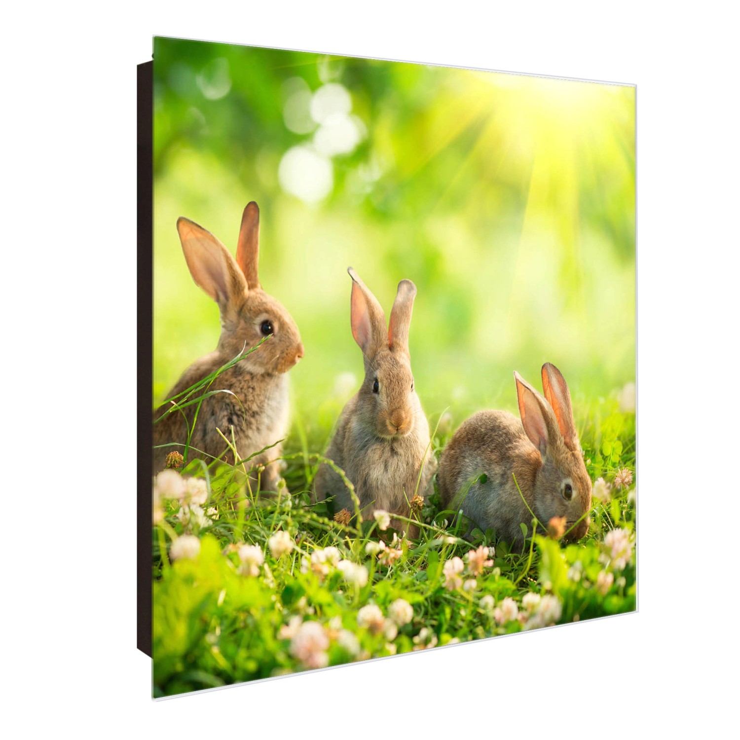 Banjado Großer Schlüsselkasten Glas 30x30cm Schwarz Scharnier Links 50 Haken Beschreibbar Magnetisch Motiv Drei Hasen