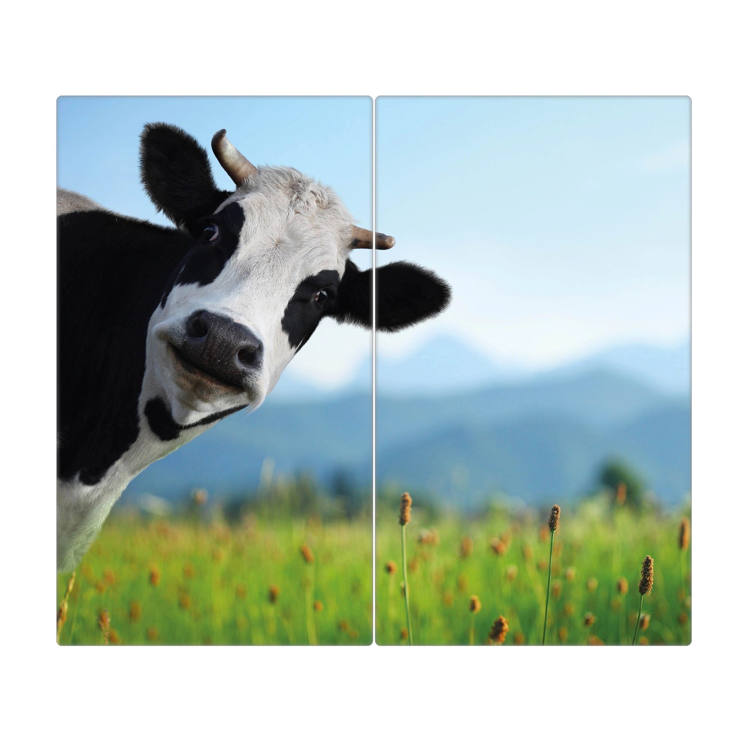 Banjado Herdabdeckplatte Glas 2 Teilig Je 30x52CM Schneidebrett Herdabdeckung Mit Motiv Neugierig