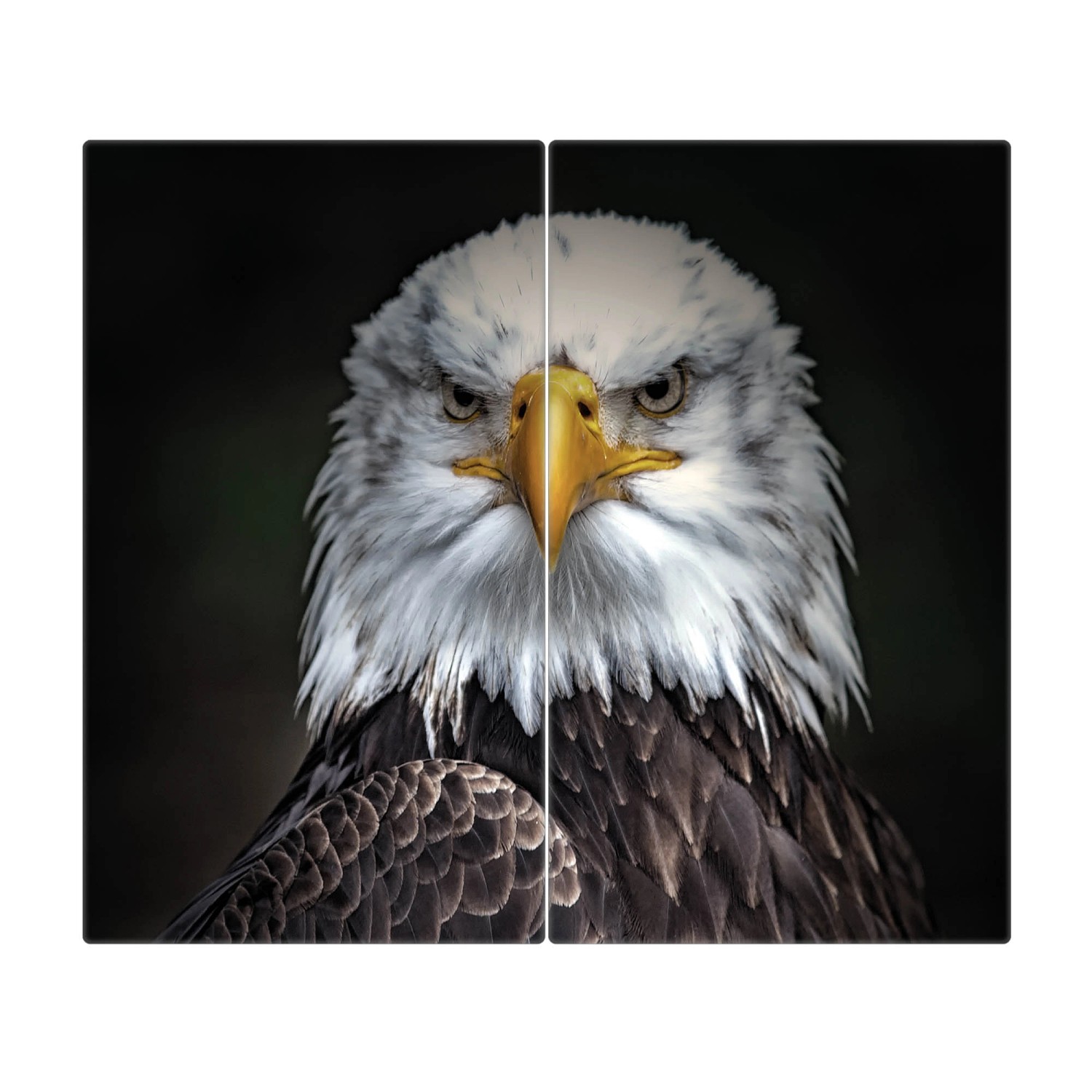 Banjado Herdabdeckplatte Glas 2 Teilig Je 30x52CM Schneidebrett Herdabdeckung Mit Motiv Adler