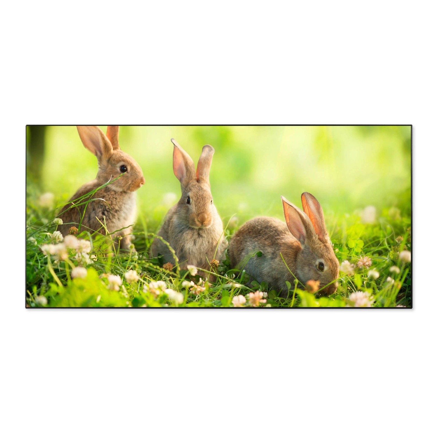 Banjado Magnettafel 78x37cm Magnetwand Schwarz Aus Metall Magnetpinnwand Pinnwand Inkl. 4 Magnete Motiv Drei Hasen