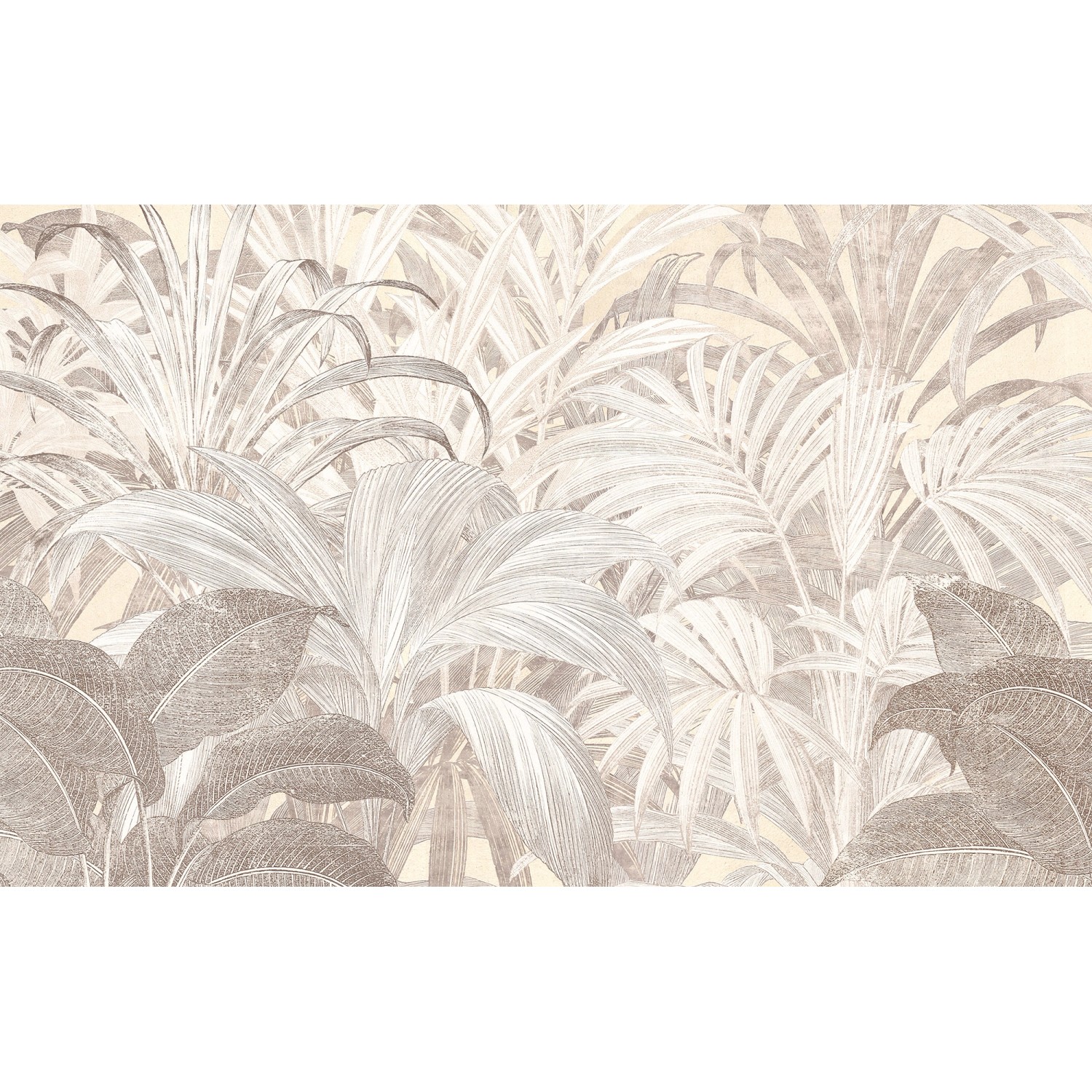 Komar Fototapete Summery Spot 400 cm x 250 cm