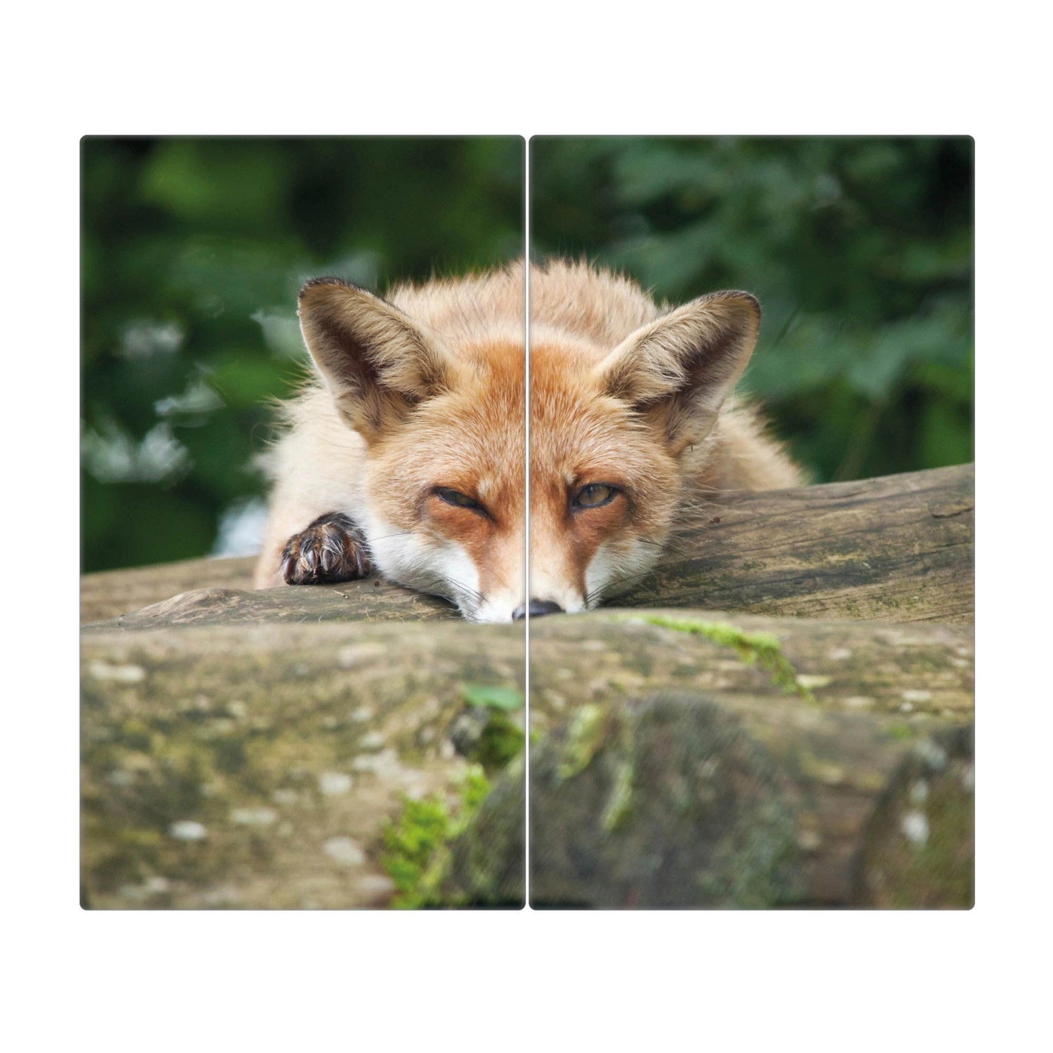 Banjado Herdabdeckplatte Glas 2 Teilig Je 30x52CM Schneidebrett Herdabdeckung Mit Motiv Fuchs Relax