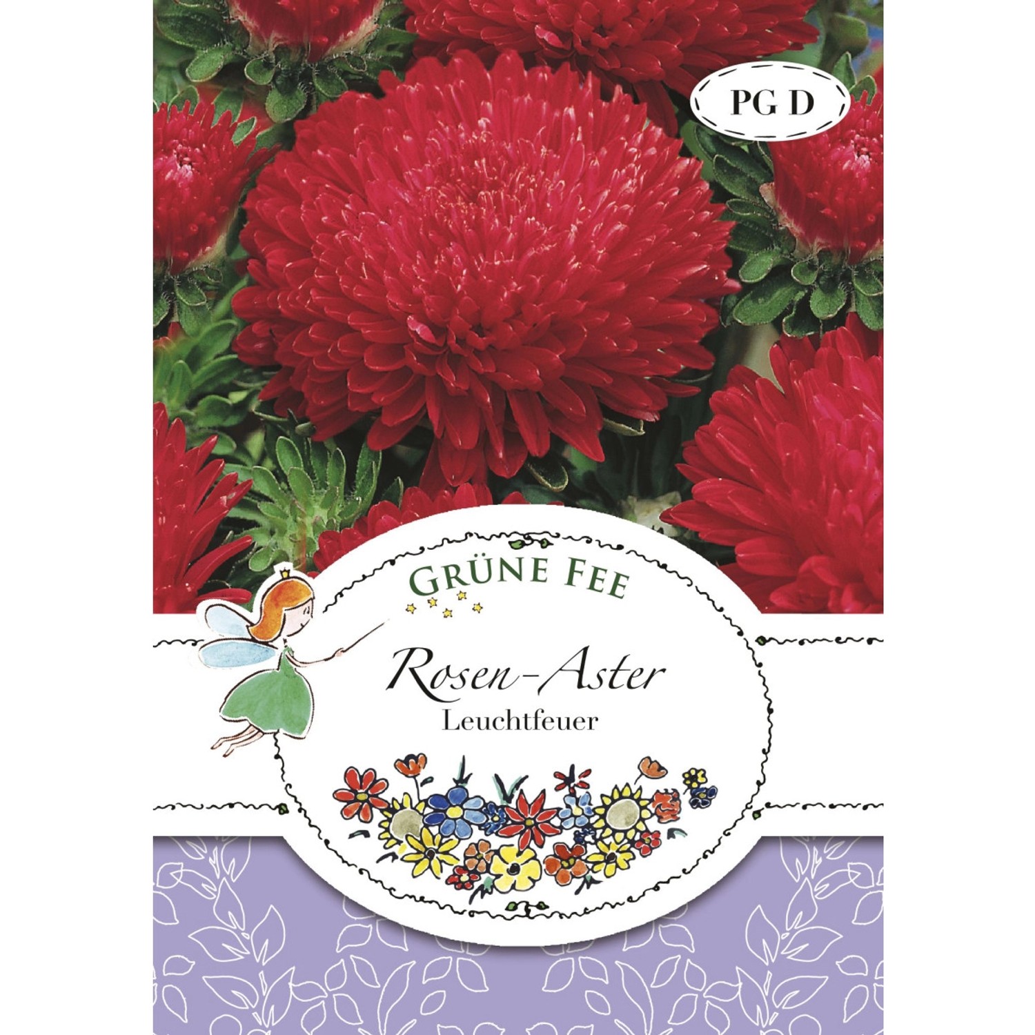 Grüne Fee Rosen-Aster Leuchtfeuer Saatgut