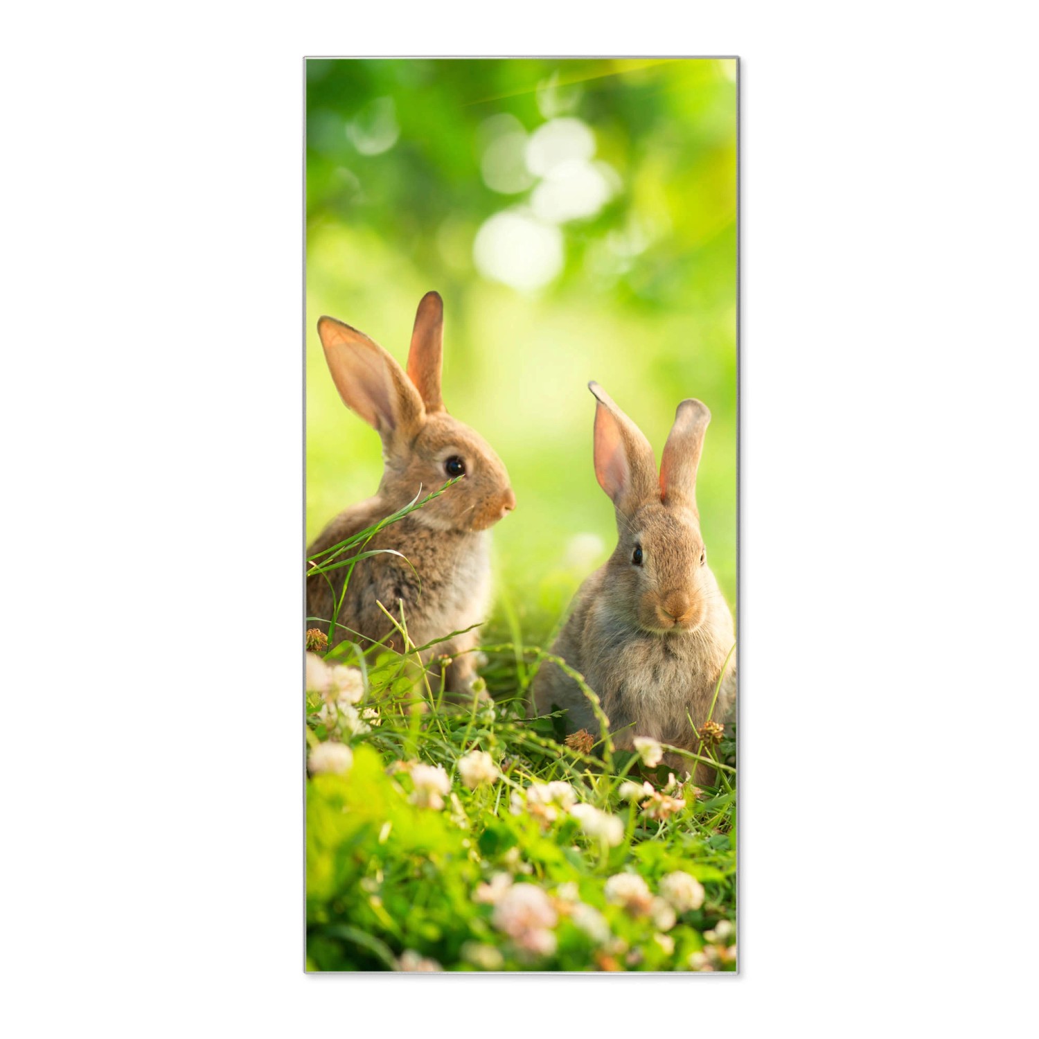 Banjado Magnettafel 37x78cm Magnetwand Silber Aus Metall Magnetpinnwand Pinnwand Inkl. 4 Magnete Motiv Drei Hasen