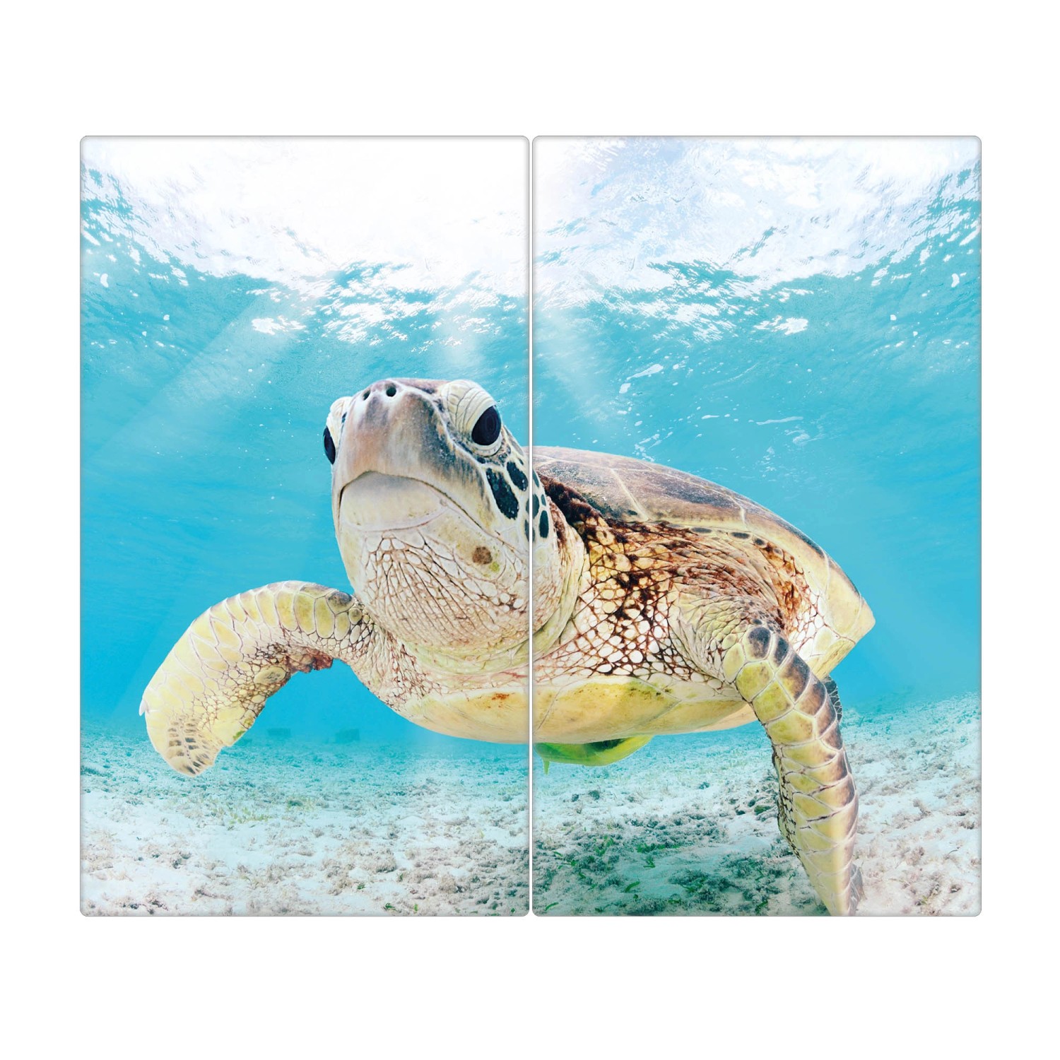 Banjado Herdabdeckplatte Glas 2 Teilig Je 30x52CM Schneidebrett Herdabdeckung Mit Motiv Elvis