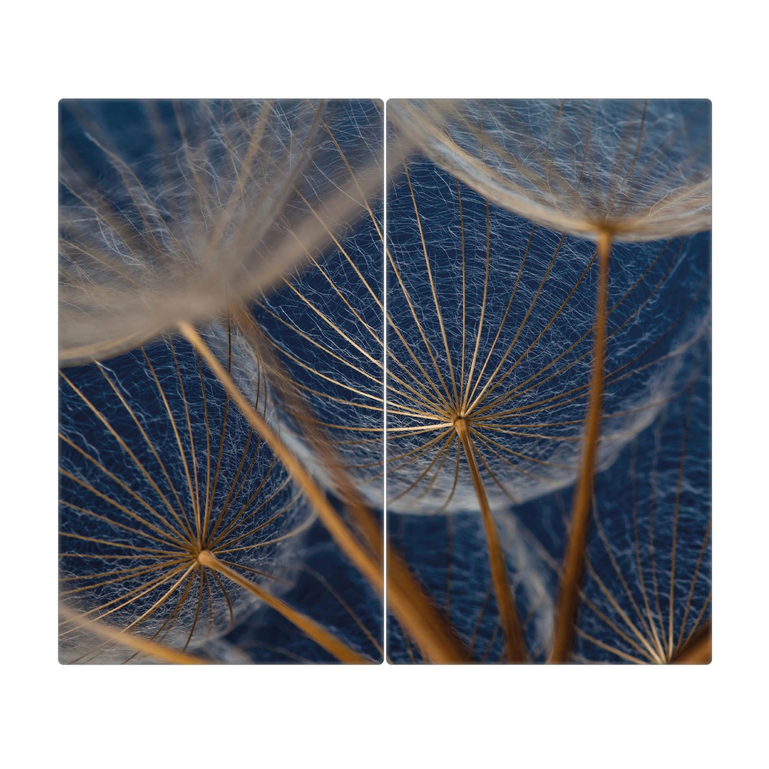 Banjado Herdabdeckplatte Glas 2 Teilig Je 30x52CM Schneidebrett Herdabdeckung Mit Motiv Verblüht