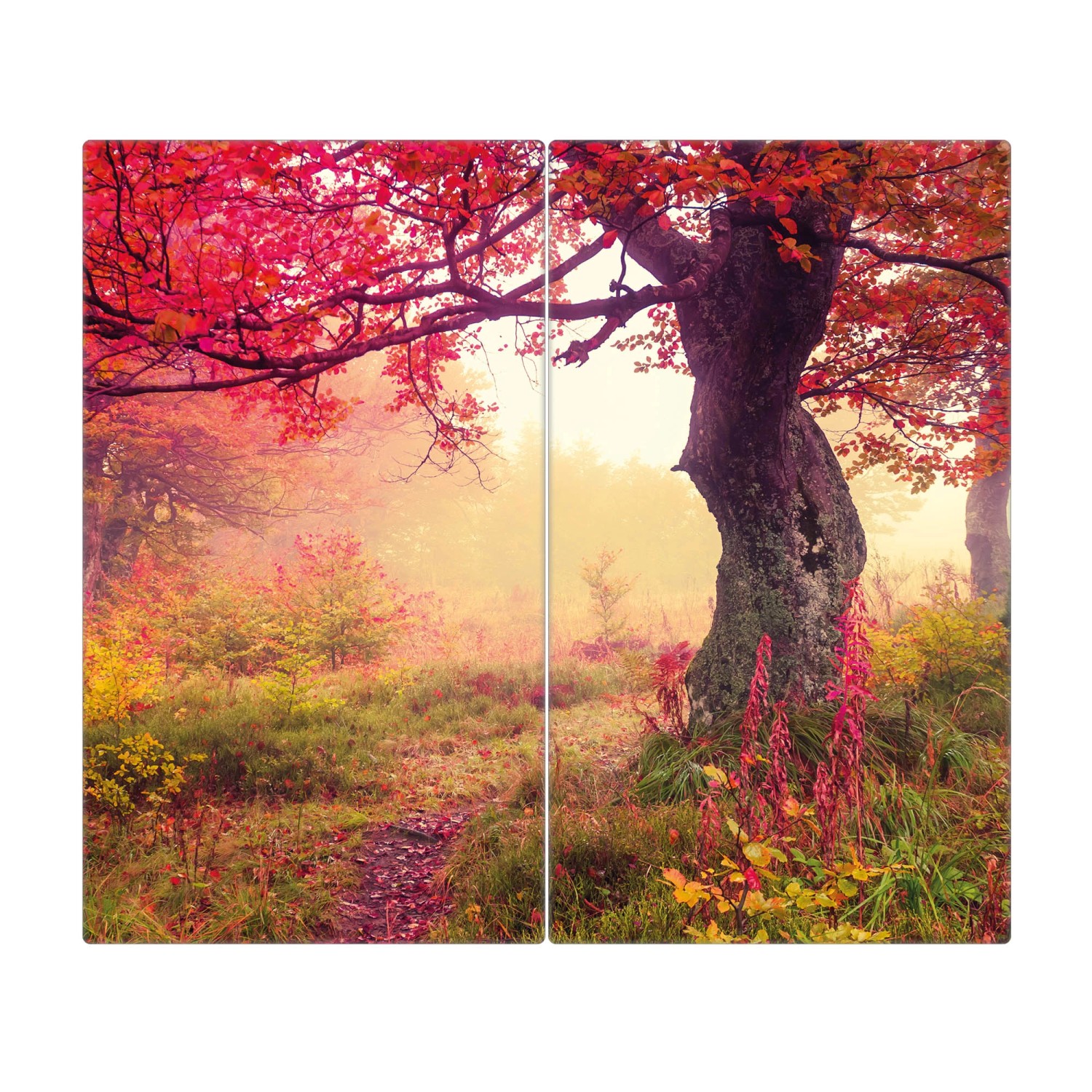 Banjado Herdabdeckplatte Glas 2 Teilig Je 30x52CM Schneidebrett Herdabdeckung Mit Motiv Lichtung Im Herbst