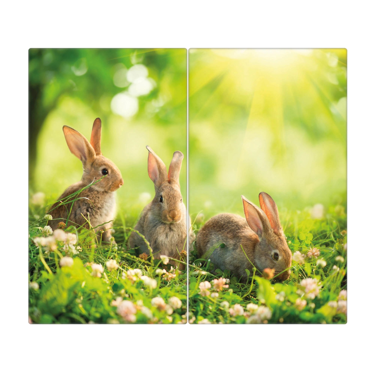 Banjado Herdabdeckplatte Glas 2 Teilig Je 30x52CM Schneidebrett Herdabdeckung Mit Motiv Drei Hasen