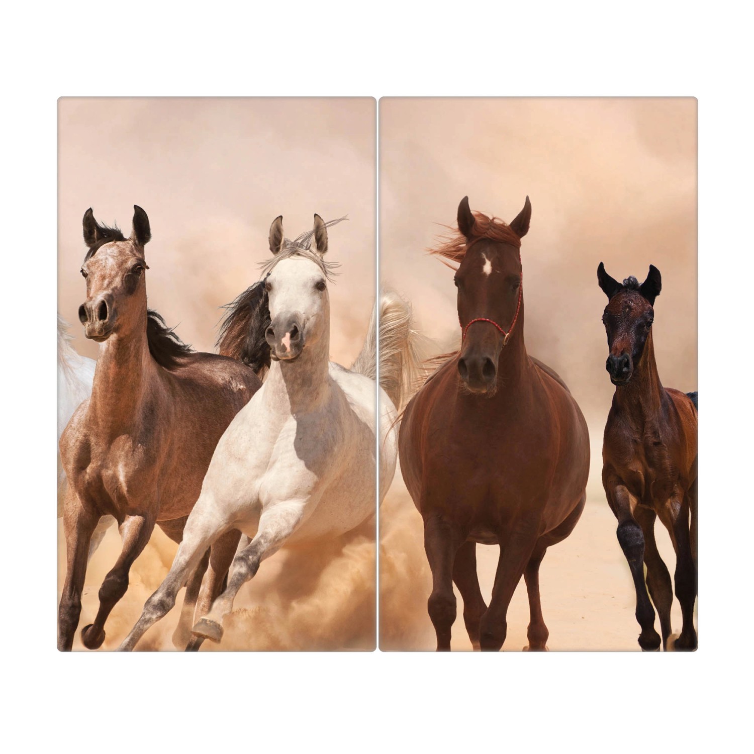 Banjado Herdabdeckplatte Glas 2 Teilig Je 30x52CM Schneidebrett Herdabdeckung Mit Motiv Mongolische Stimmung