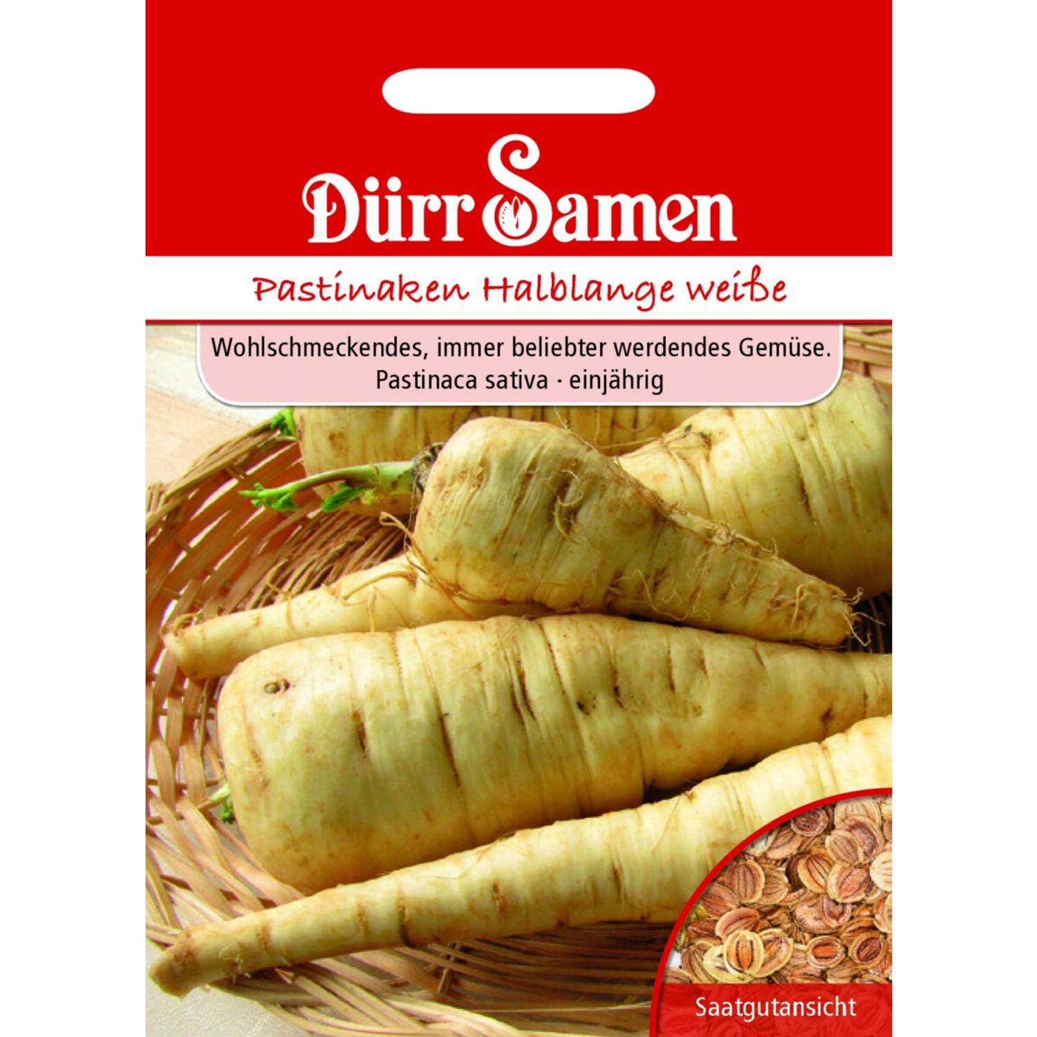 Dürr Samen Pastinaken Halblange Weiße Saatgut