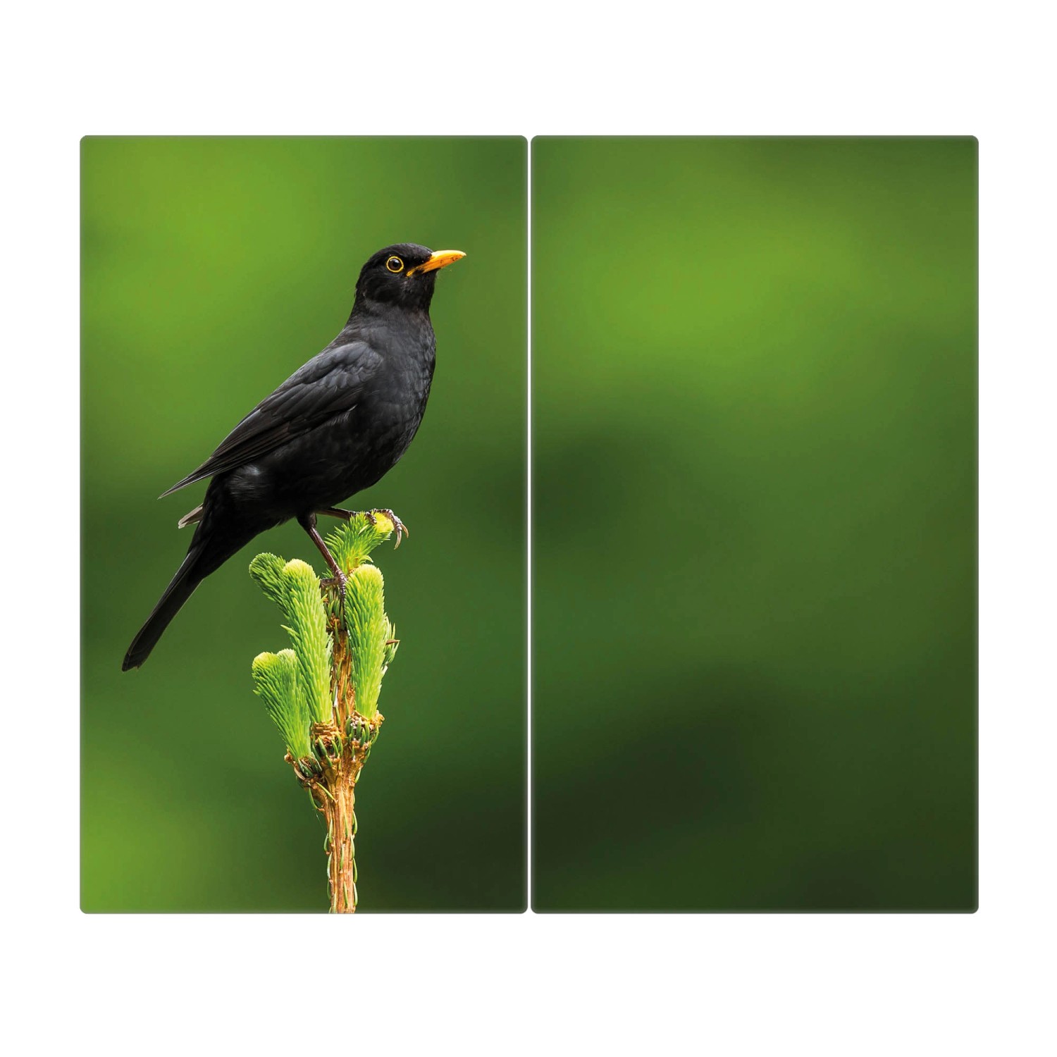 Banjado Herdabdeckplatte Glas 2 Teilig Je 30x52CM Schneidebrett Herdabdeckung Mit Motiv Vogel Auf Tannenzweig