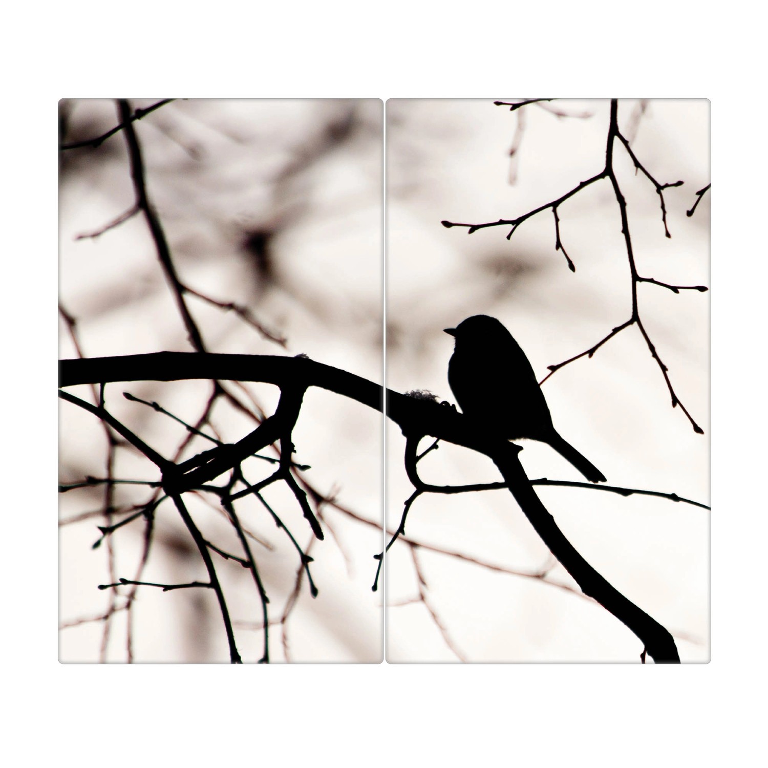 Banjado Herdabdeckplatte Glas 2 Teilig Je 30x52CM Schneidebrett Herdabdeckung Mit Motiv Früher Vogel