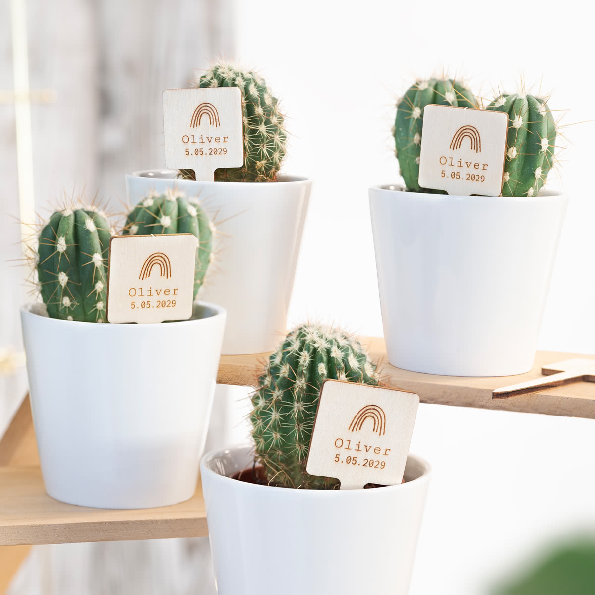 Blumentopf und Pflanzenstecker aus Holz mit Gravur - 12 Stk.