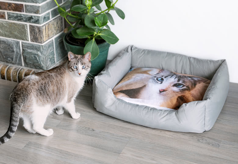 Tierbett personalisiert (65x55cm, Kissenbezug einseitig bedruckt, für Hunde & Katzen)