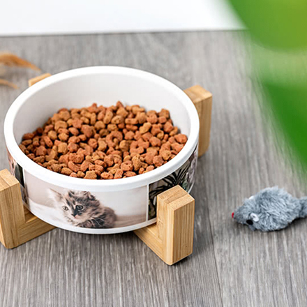 Personalisierter Futternapf mit Ständer