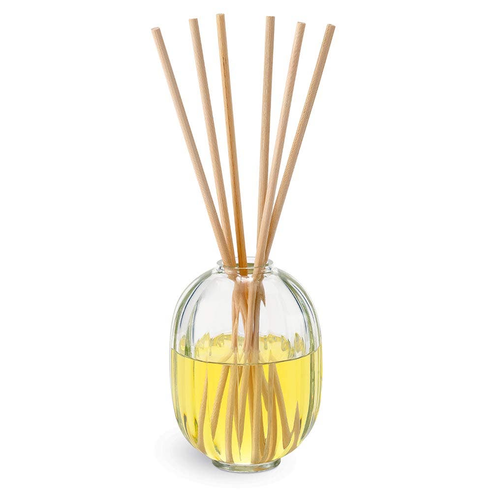 Diptyque - Citronelle Reed Diffuser - Aromatischer Diffuser