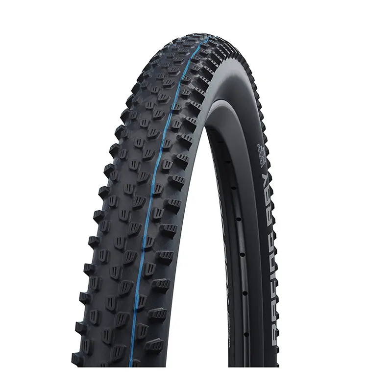 Weicher Mountainbike-Reifen Schwalbe Racing Ray HS489 Evo Super Ground Addix Speedgrip 57-559