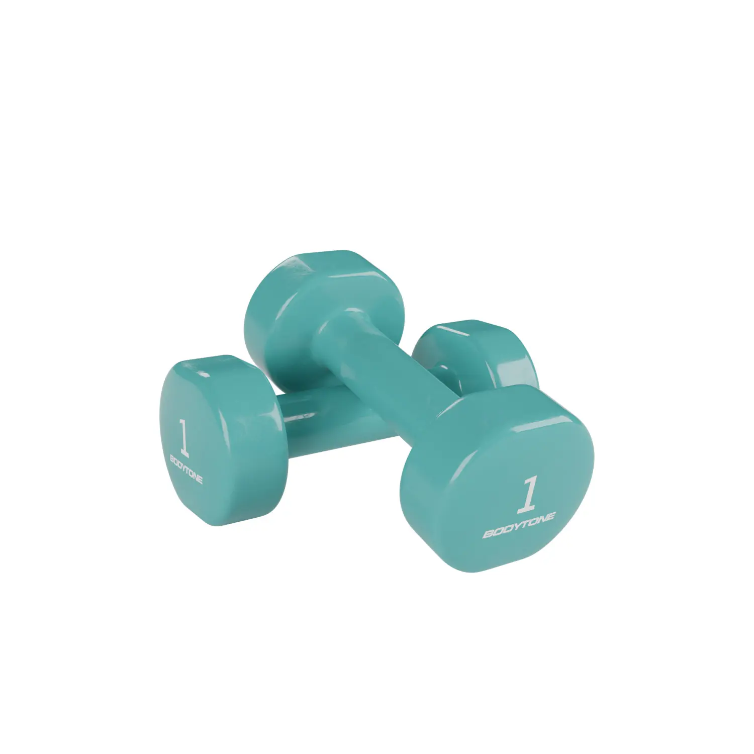 Paar Hanteln im Set Bodytone