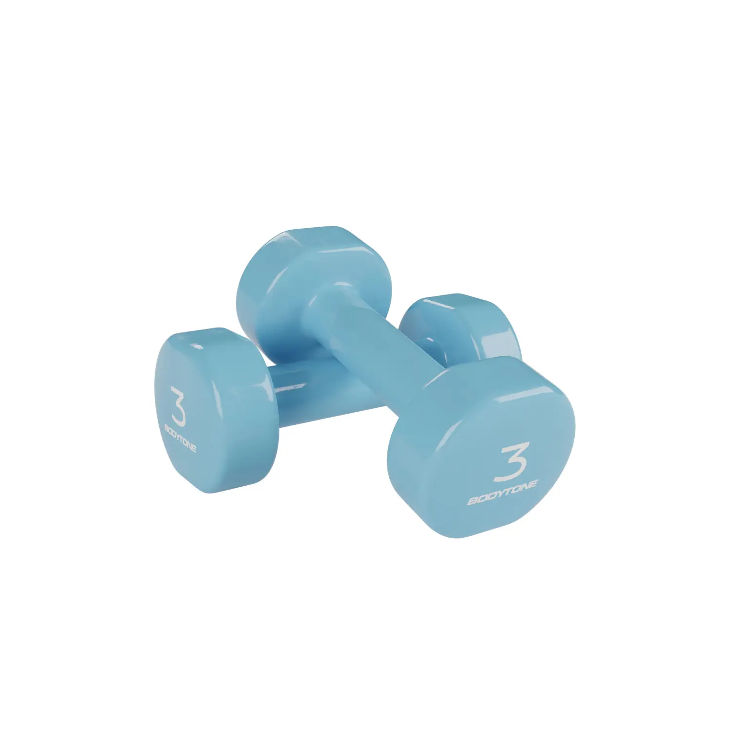 Paar Hanteln im Set Bodytone