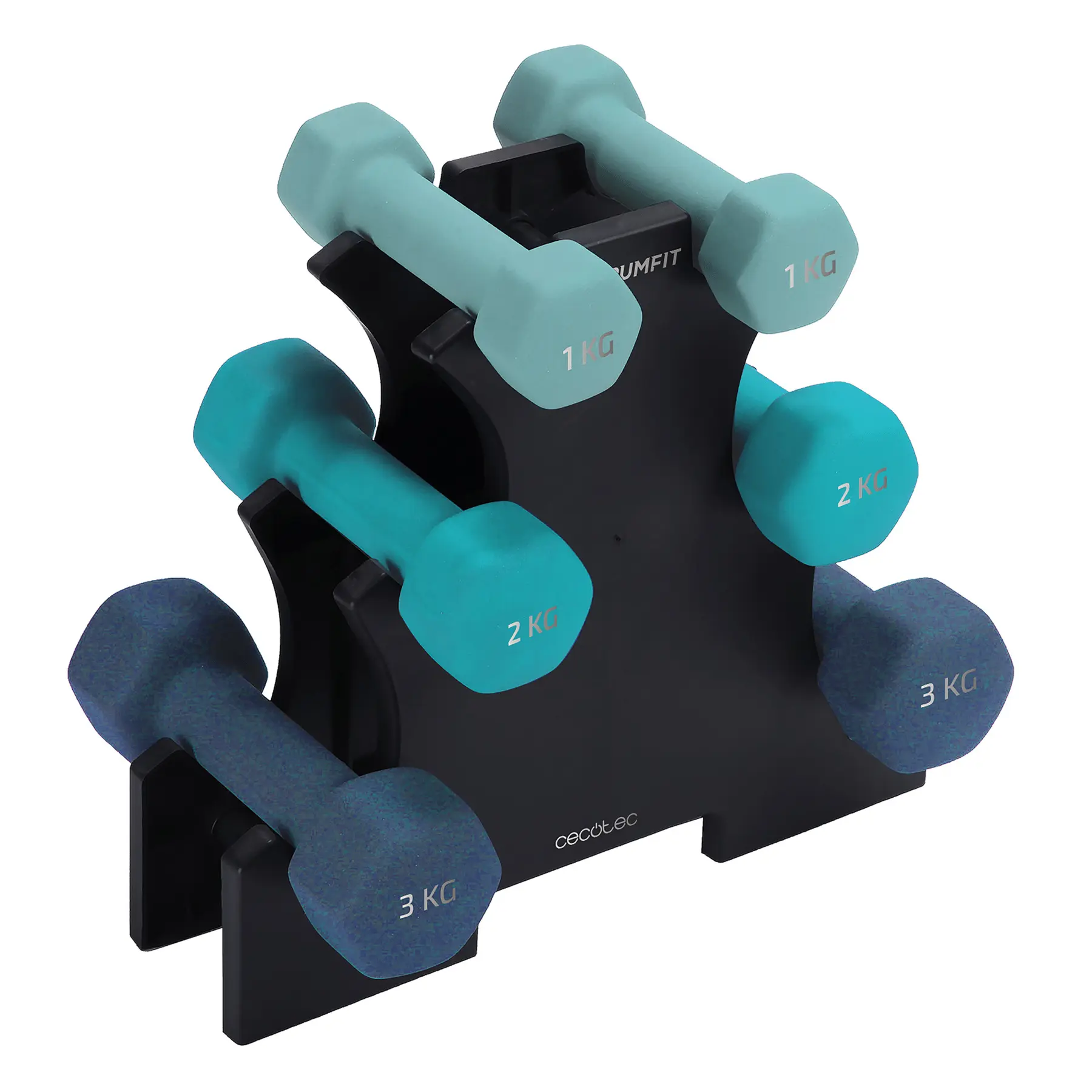 Hanteln Cecotec Drumfit Inversion (x6)