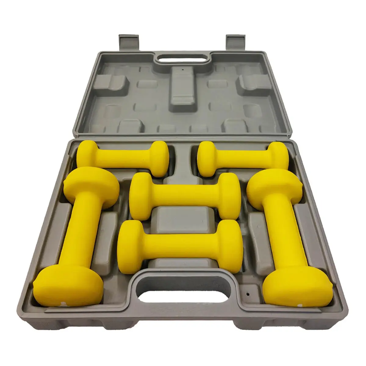 Hanteln Fitpaddy (x6)