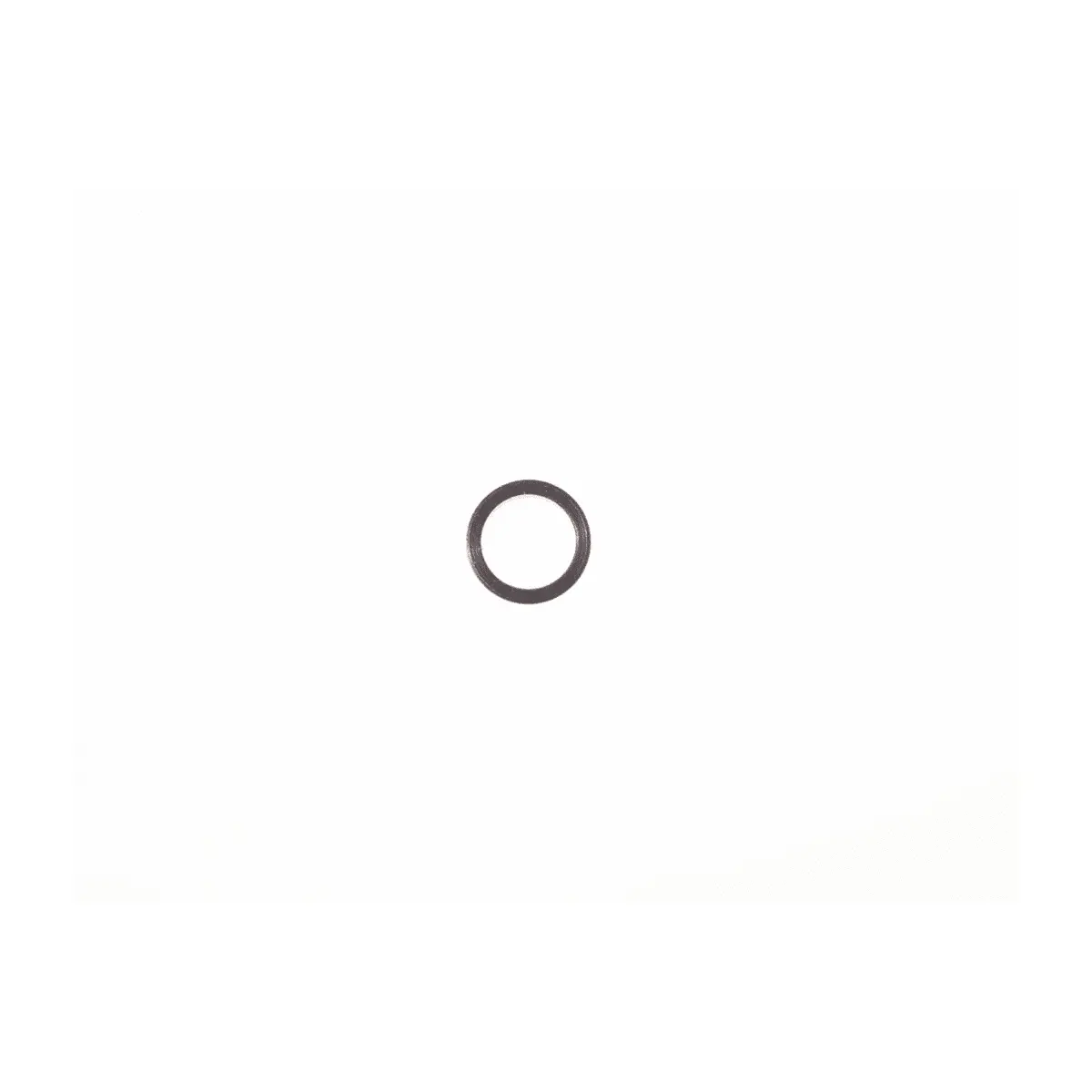 Ring Garmin Spacer Ring Type 1