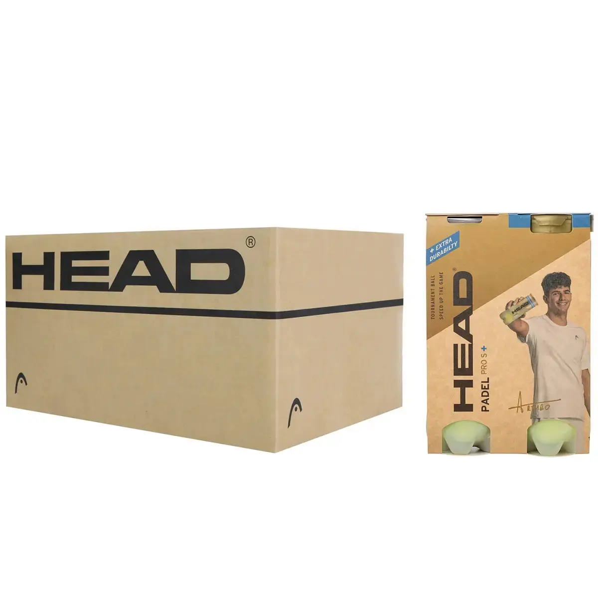 Kartons mit 12 Paketen Padelbälle Head Pro S