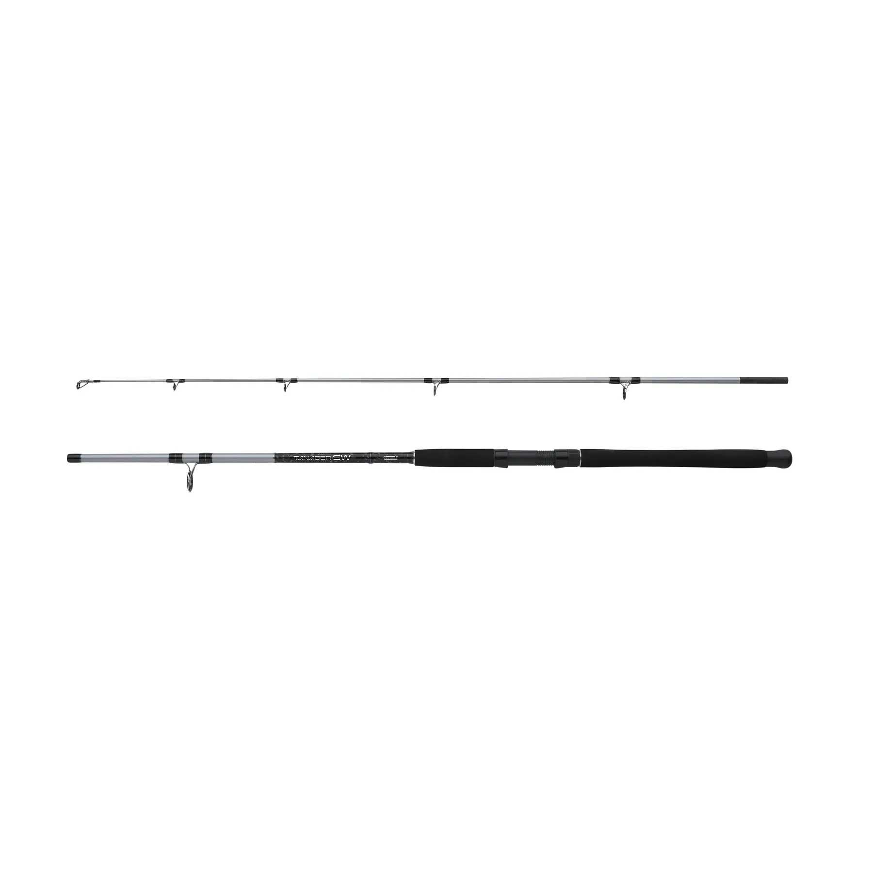 Angelrute Mitchell Tanager SW 100-200 g
