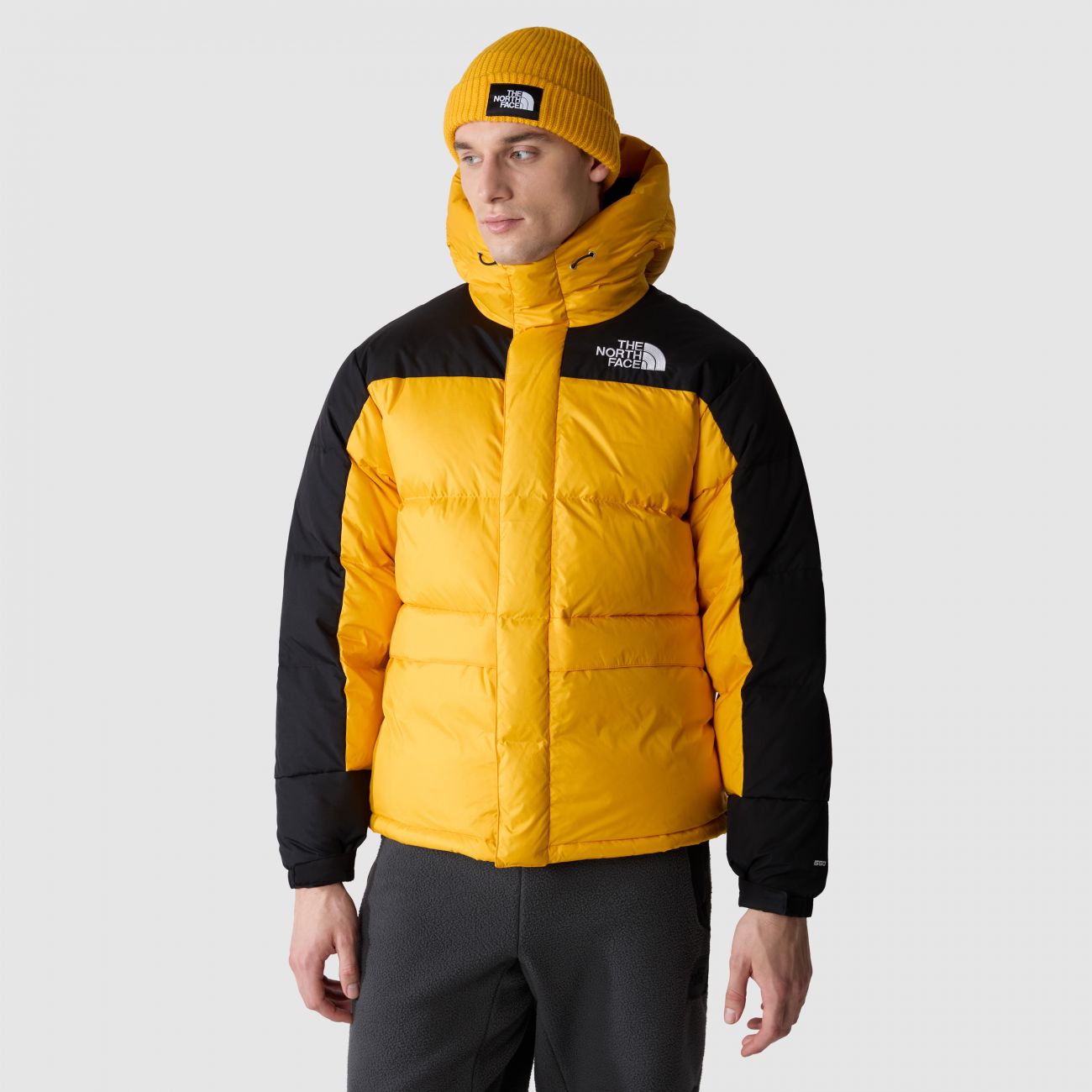 Jacken und Jacken Mann The North Face nf0aqqyxzu31 - hlmyn down parka Summit gold