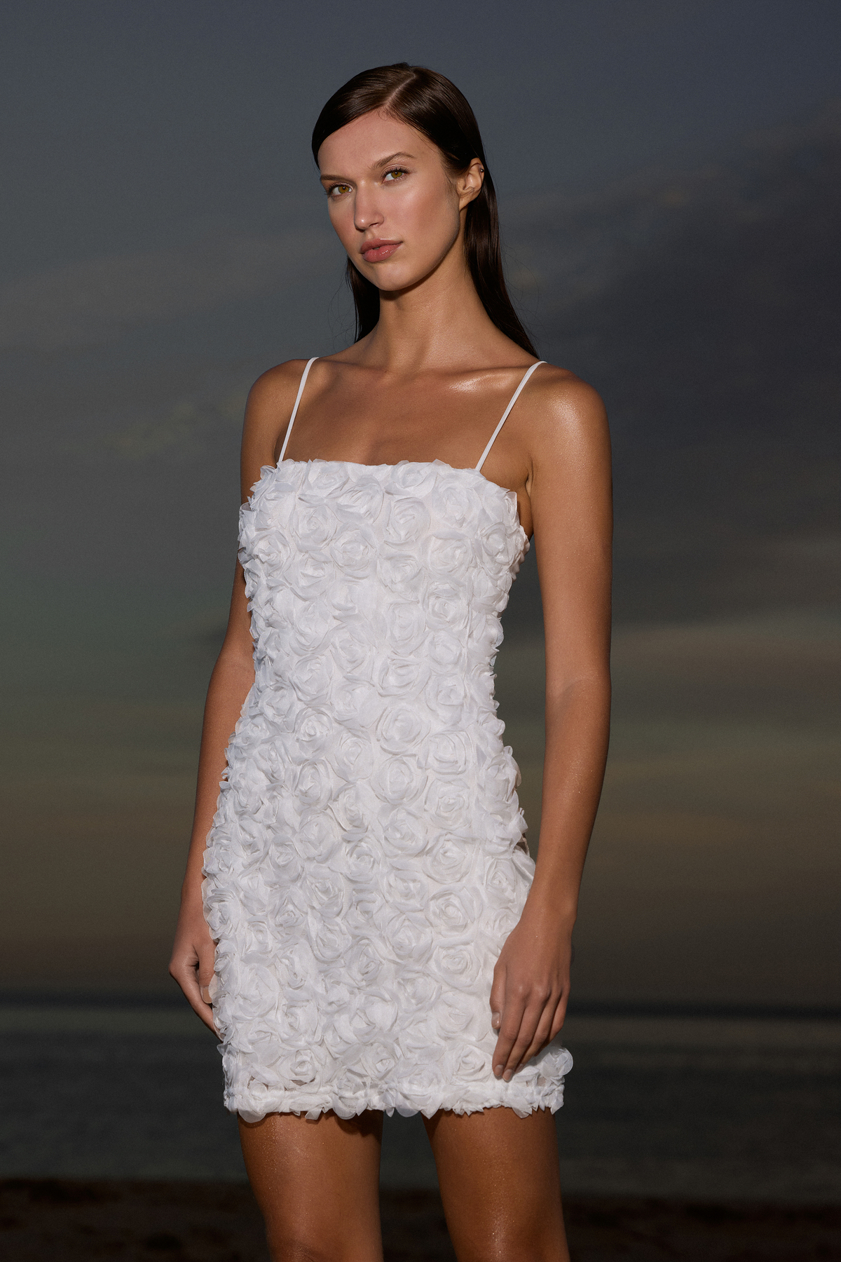 Trendyol Collection Weißes, Dreidimensionales, Detailliertes Hochzeits-/hochzeitskleid Mit Rosenapplikationen, Stilvolles Abendkleid, Nacht-abschlusskleid für Damen - 36