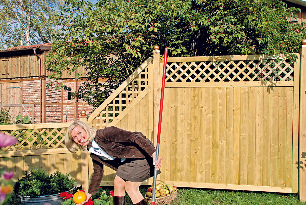 Massivzaun-Classic mit.Rankgitter, zwei Größen kesseldruckimprägniert '180 x 90 cm.'