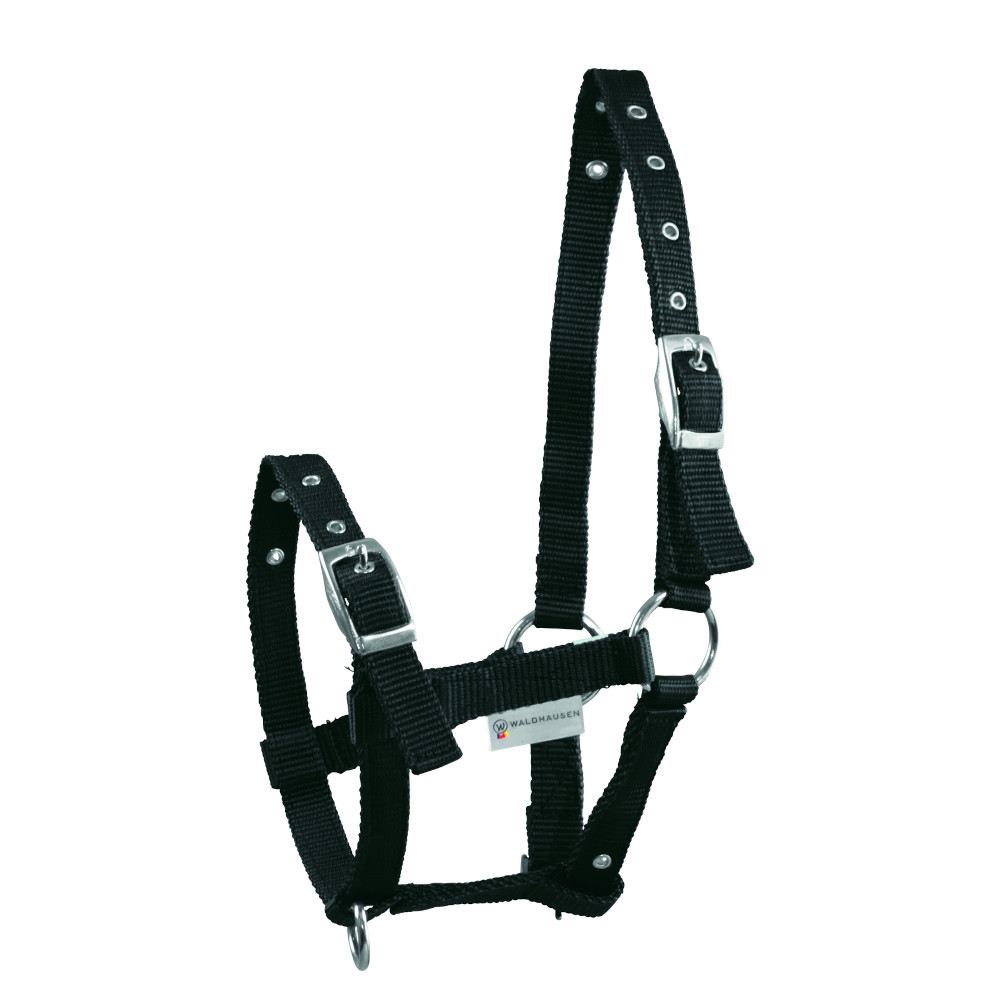Waldhausen Fohlenhalfter Triple