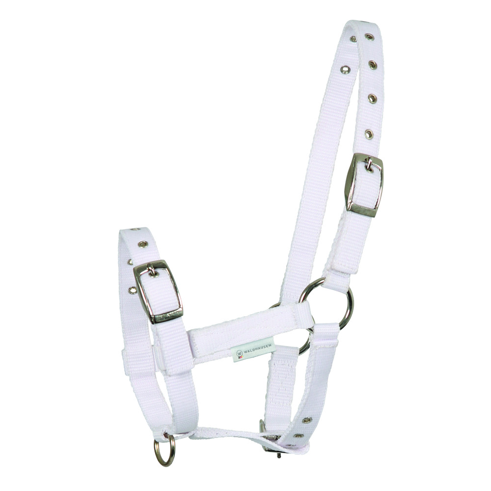 Waldhausen Fohlenhalfter Triple