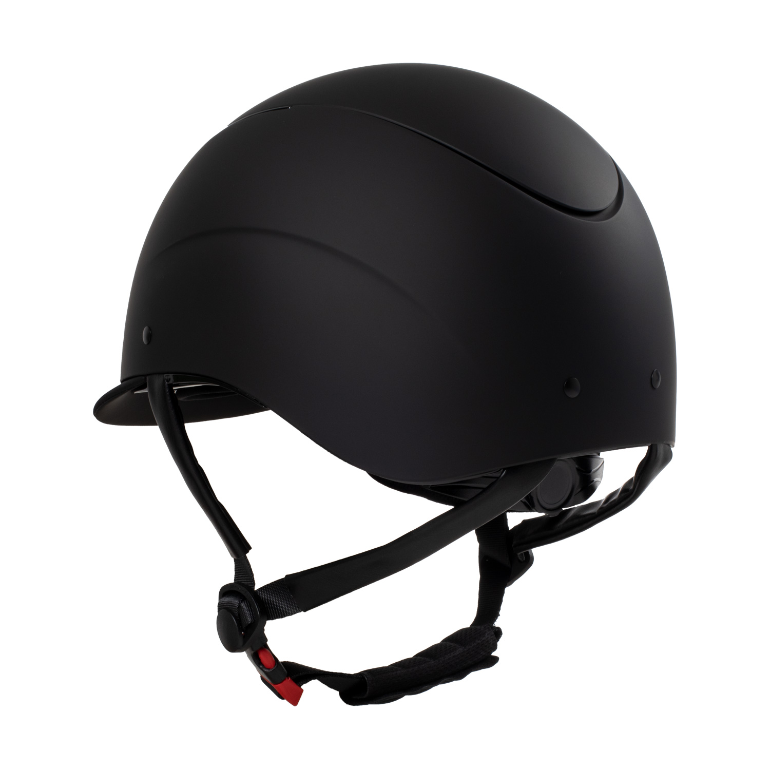Equestro Galaxy shiny Frame Reithelm