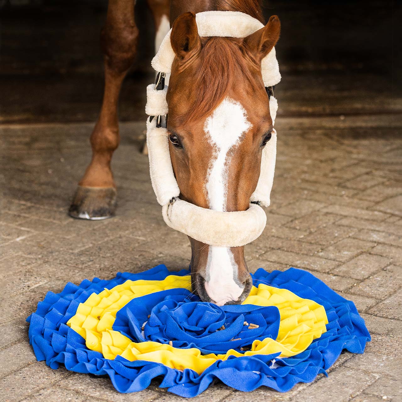 QHP Schnüffelmatte für Pferd