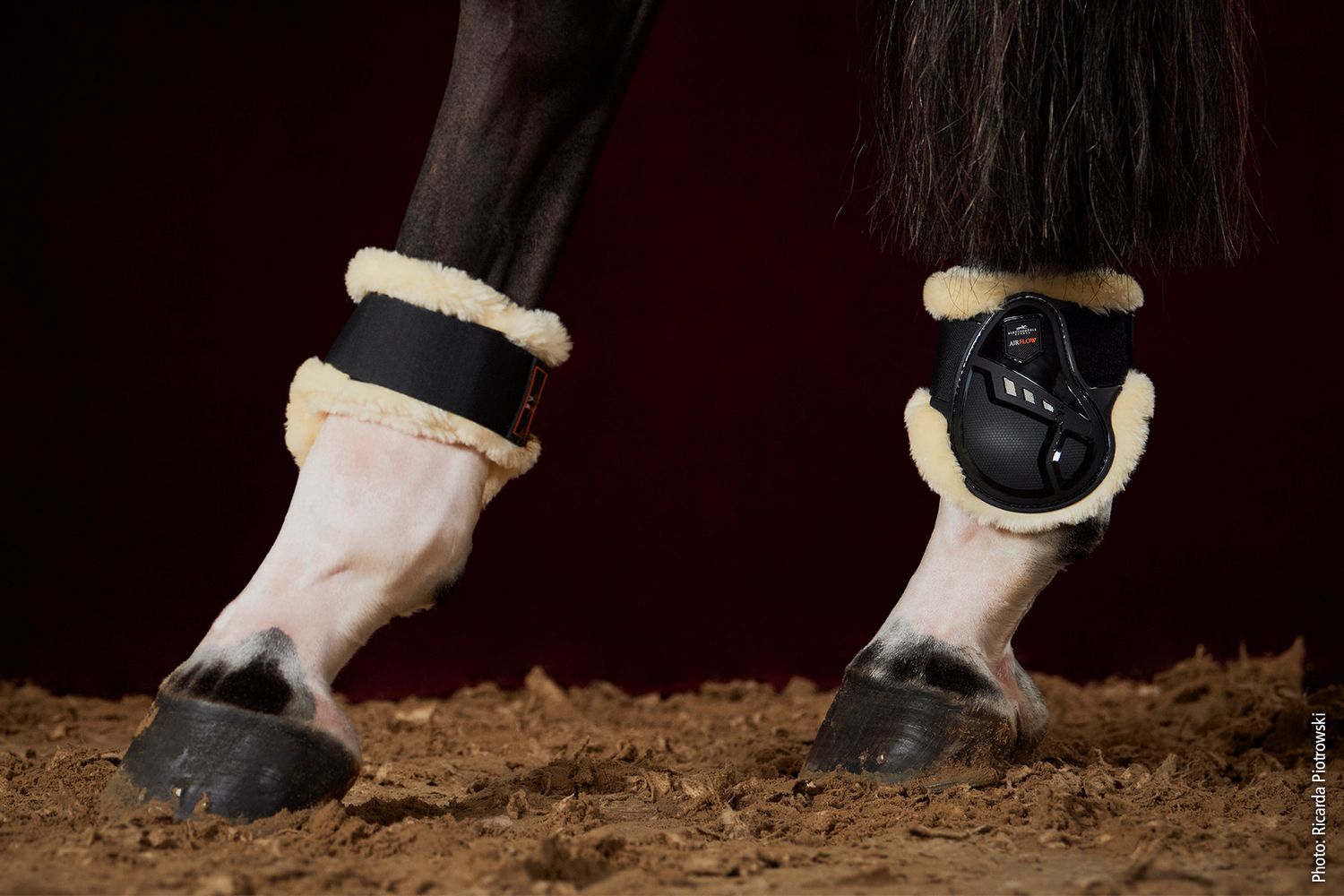 Schockemöhle Air Flow Champion Fetlock Boots Fur Streichkappen