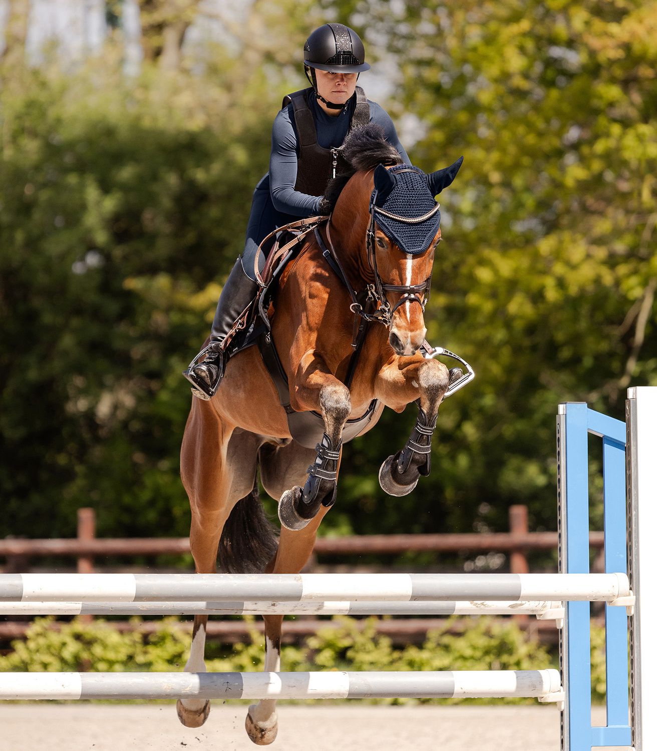 SWING Reithelm H24 Lady shine