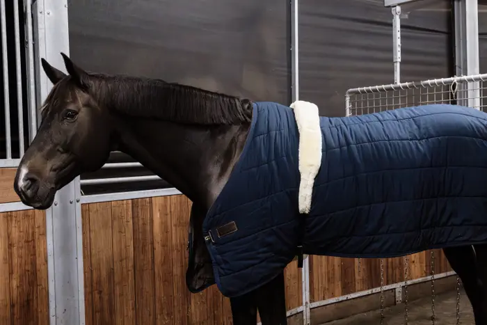 Kentucky Horsewear Lammfell Nylon Führanlagengurt
