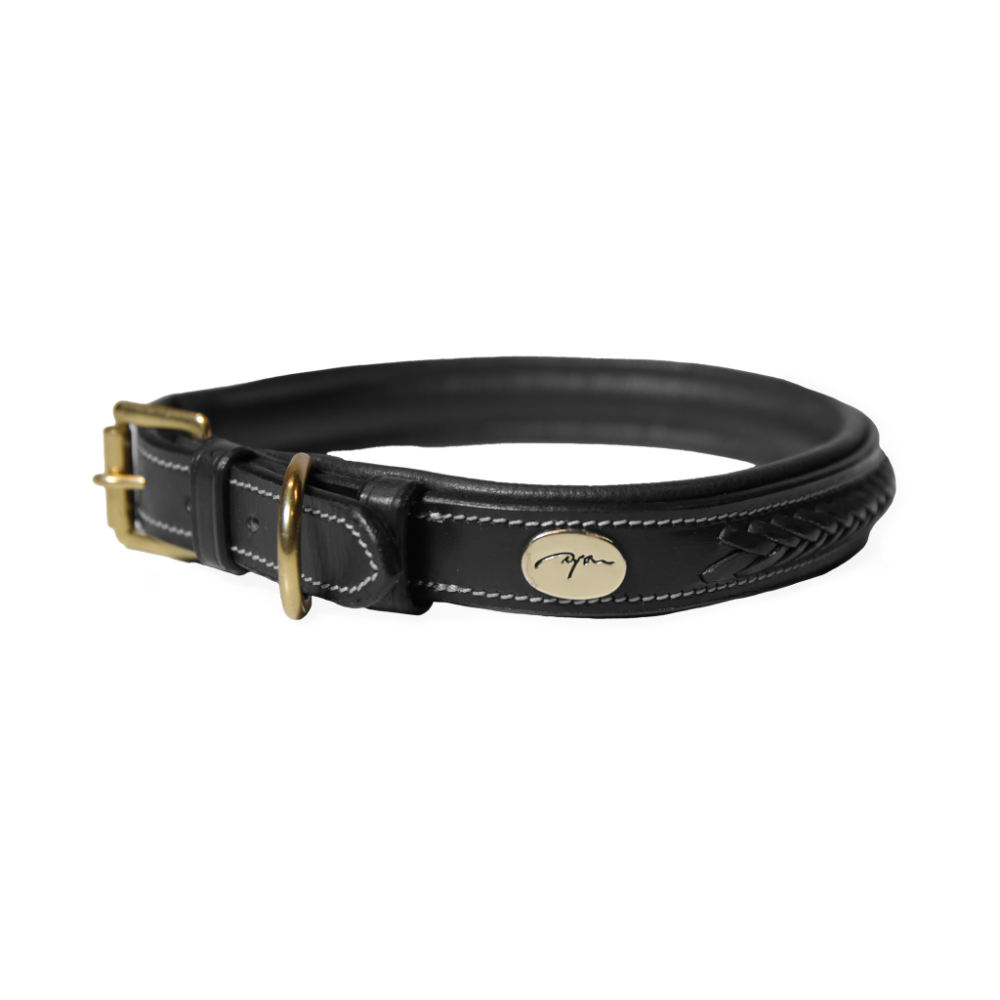Dyon geflochtenes Hundehalsband