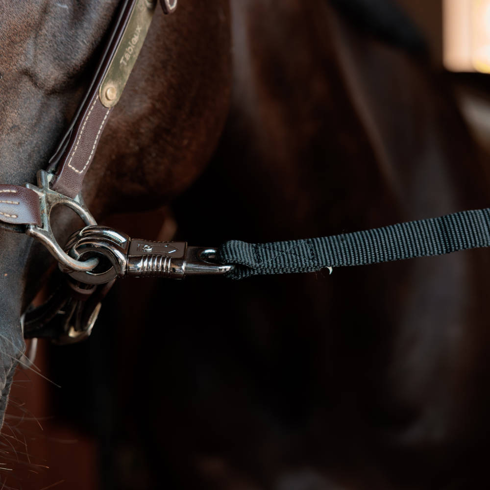 Kentucky Horsewear Sicherheit Hängerstrick & Anbindeplatzstricke