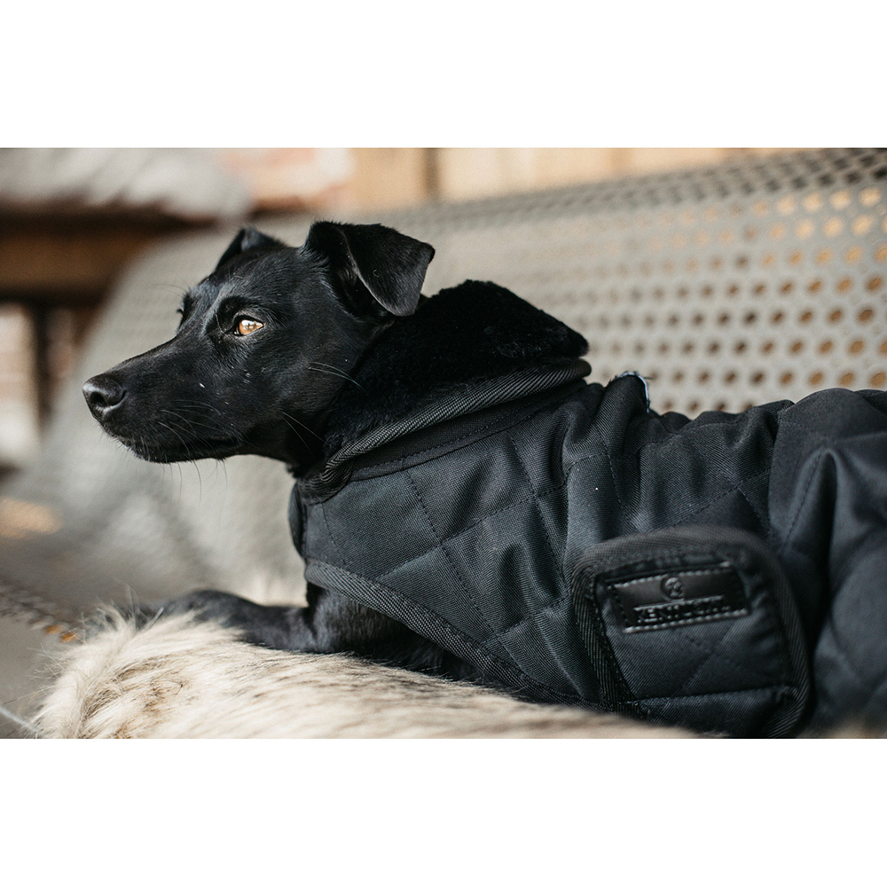 Kentucky Dogwear Hundemantel 160g