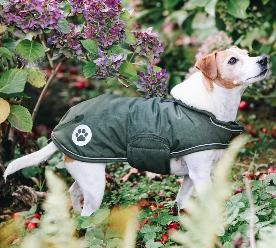 Kentucky Dogwear Dog Coat Waterproof Hundemantel