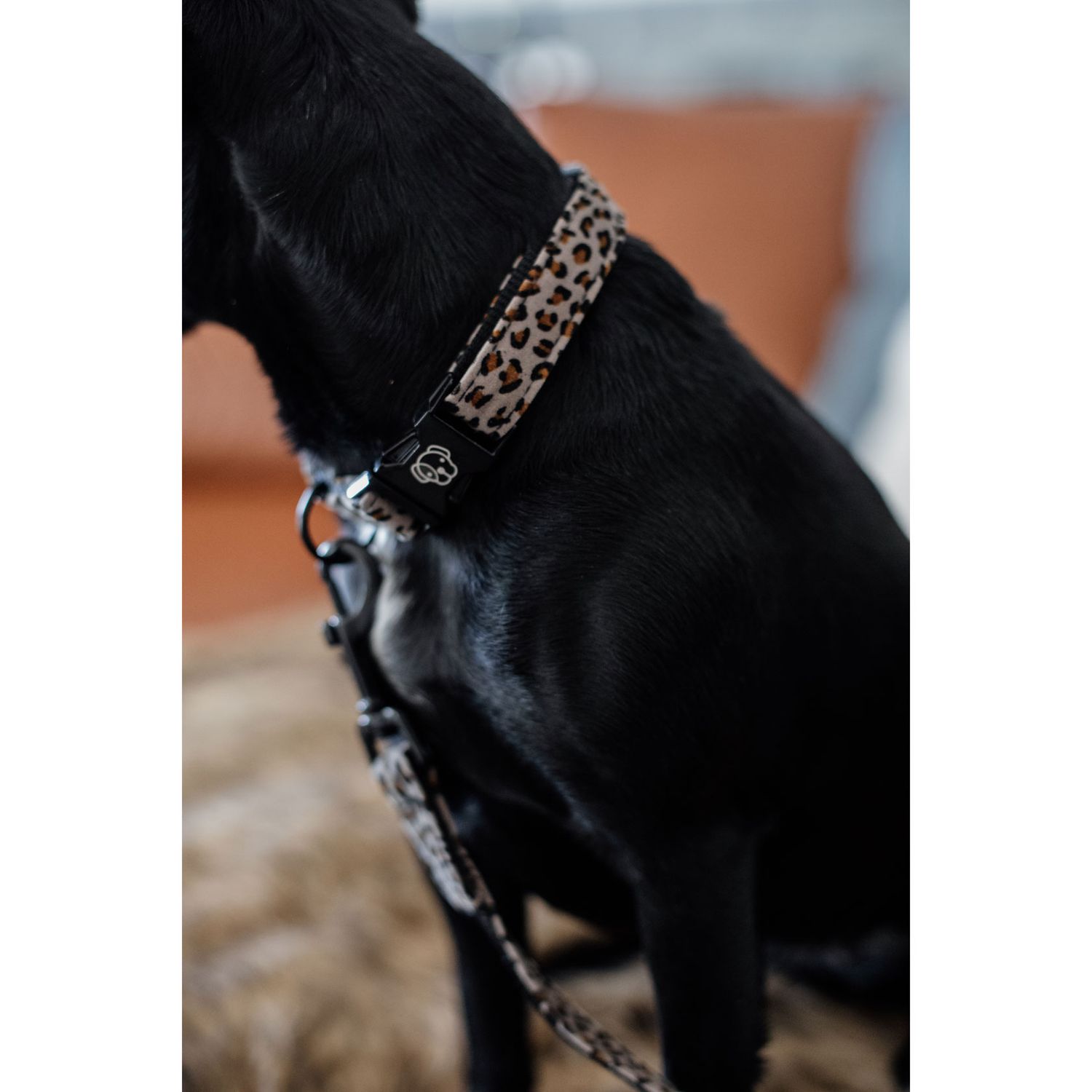 Kentucky Dogwear Hundehalsband mit Tiermuster