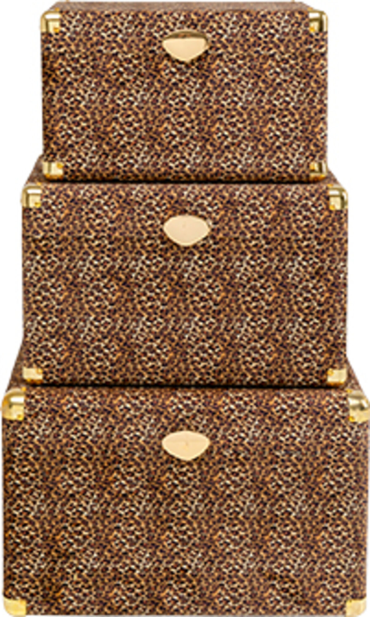 Truhe Wild Animal Leo (3/Set)