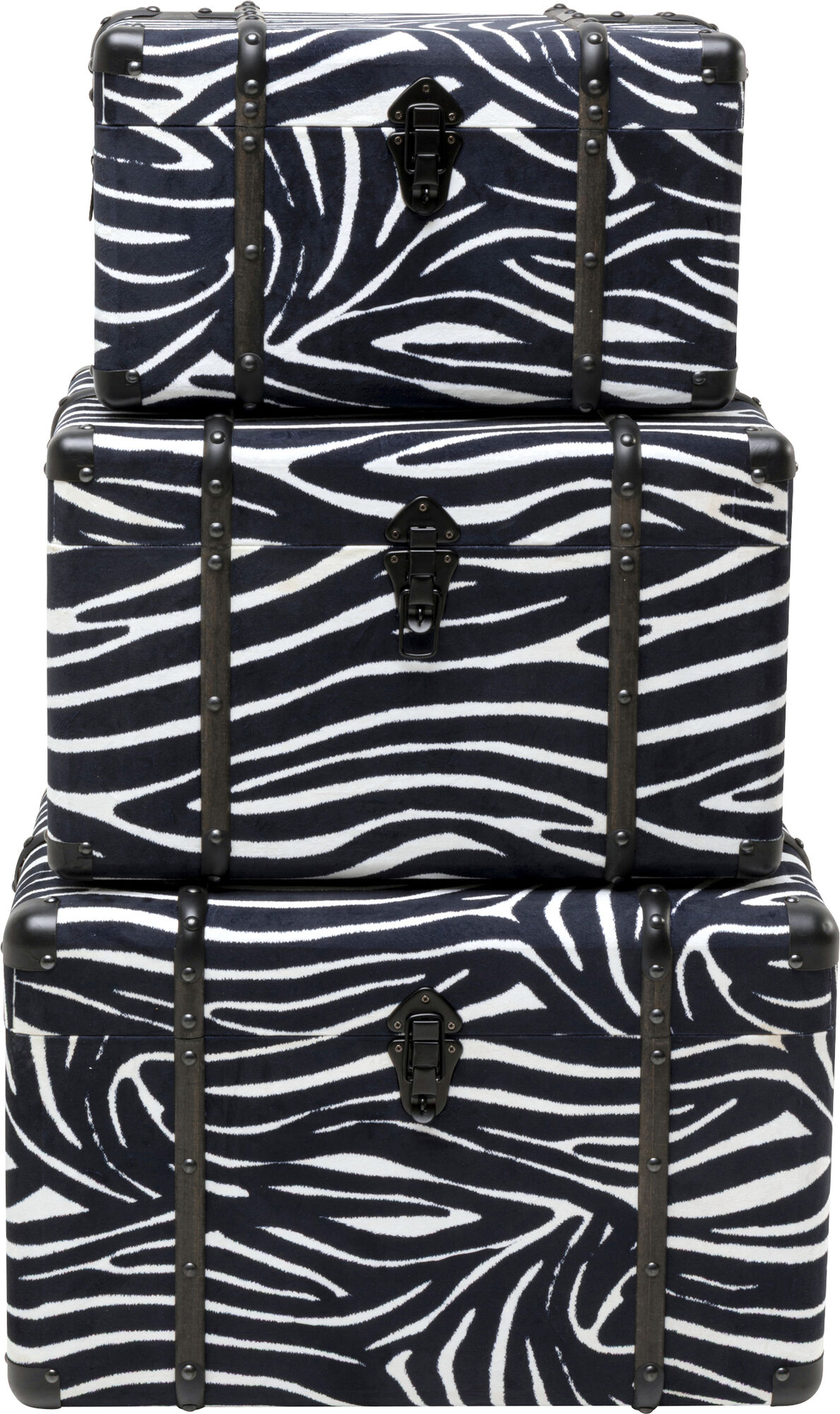 Truhe Wild Animal Zebra (3/Set)