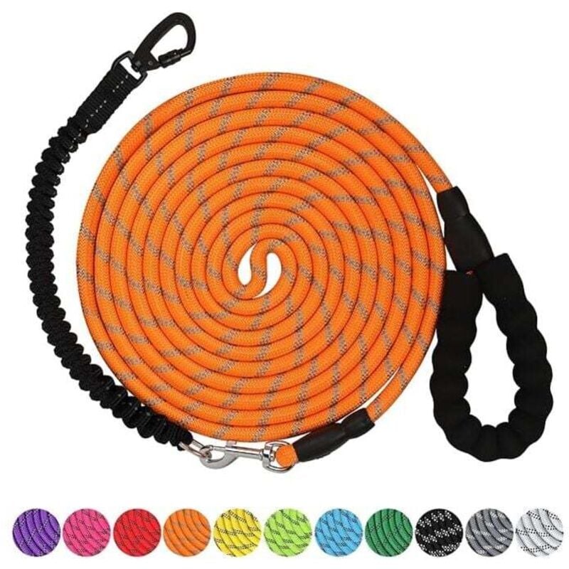 10 m lange Hundeleine, robuste Leine mit feststellbarem Drehhaken und reflektierenden Fäden, Bungee-Hundeleine, bequemer gepolsterter Griff zum